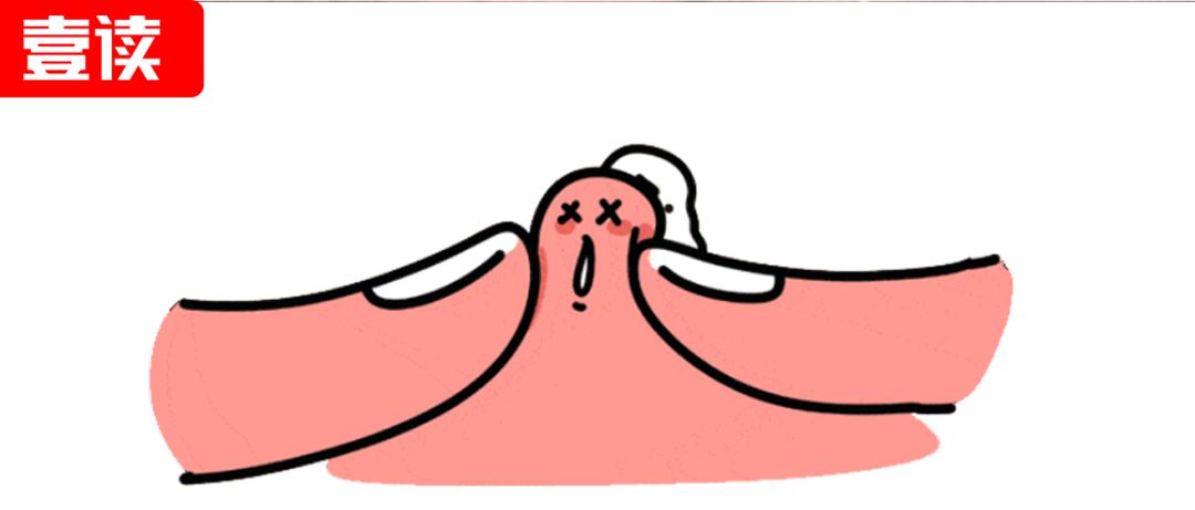 冬蚊子和夏天的蚊子有什么区别,为什么夏天有蚊子冬天有老鼠