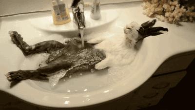 每天都有几千人坐着飞机迫不及待的赶去被骗