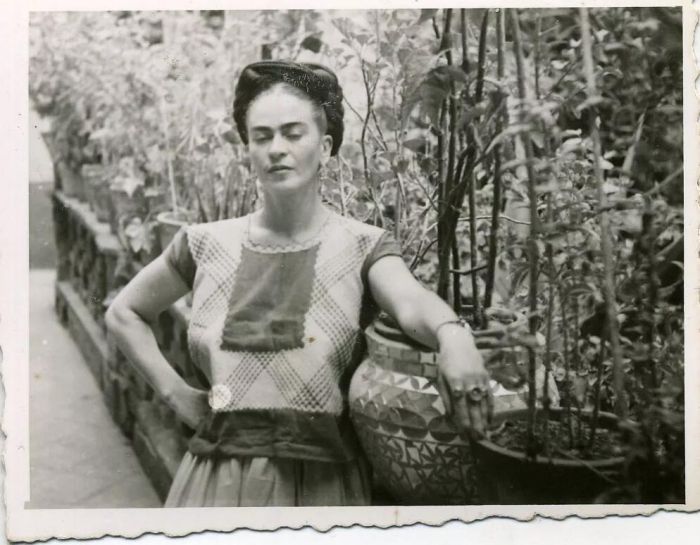 艺术家的花园系列介绍,艺术家的花园油画