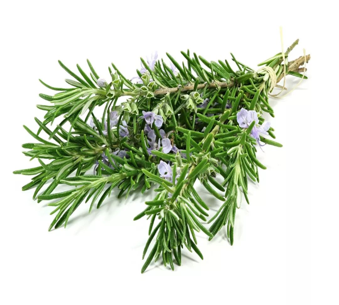 生发长头发神器,脱发生发最新科技