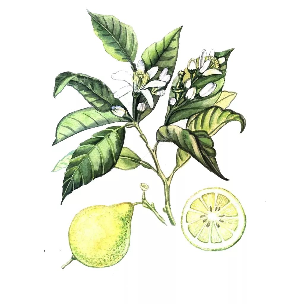 生发长头发神器,脱发生发最新科技