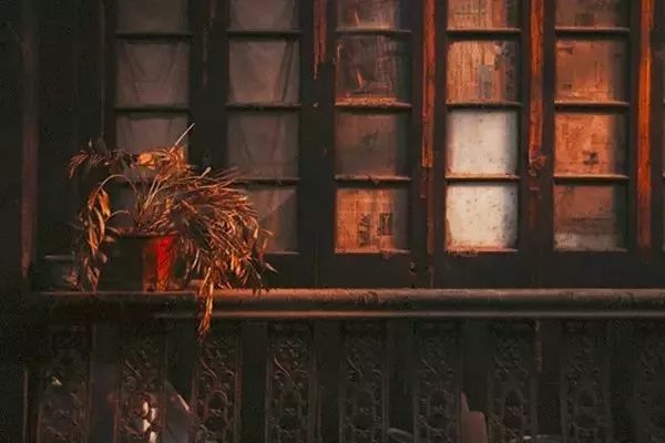 婚前择偶指南图,年轻男女婚前择偶的一个重要问题