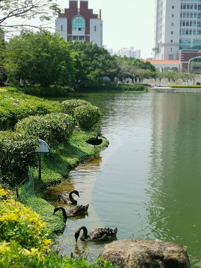 厦门鼓浪屿介绍,厦门鼓浪屿4日游攻略