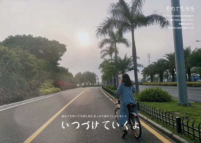 厦门鼓浪屿介绍,厦门鼓浪屿4日游攻略