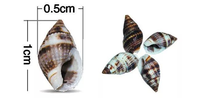 紧急提醒！近期千万别碰它！2岁男童吃后变植物人！暂无特效药