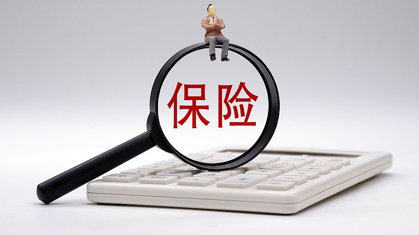 华汇人寿2019总保费,险企2018年