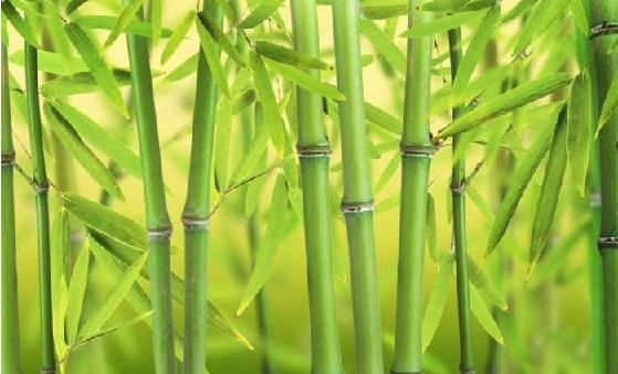 望江楼千古绝对谁写的,成都望江楼古建筑群