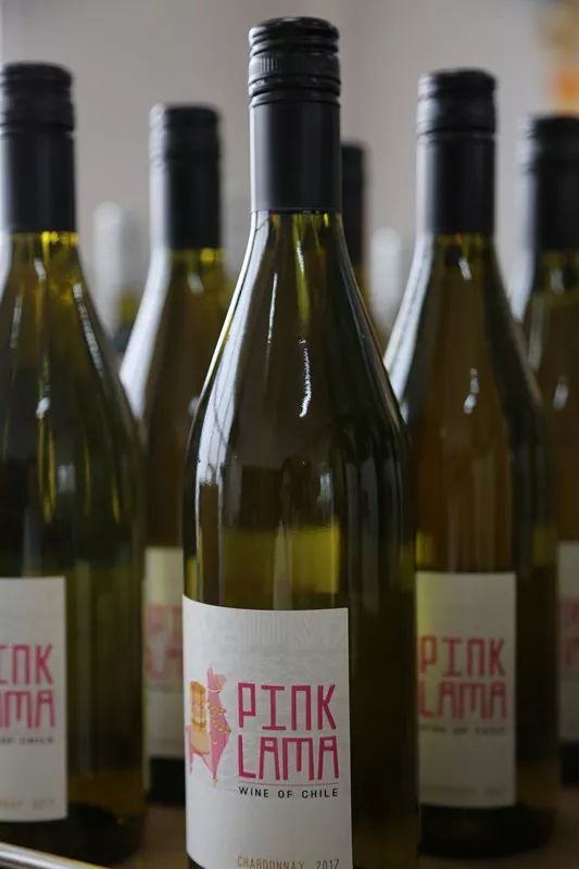 法国阿尔诺城堡干红葡萄酒2016,阿尔诺城堡干红葡萄酒价格