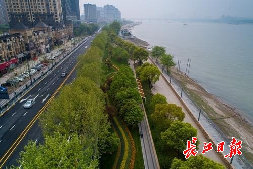 武汉右岸大道快速路,武汉右岸大道示范段