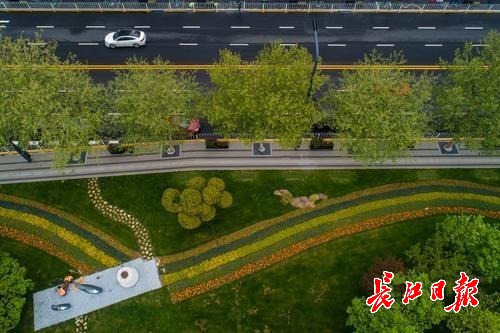 武汉右岸大道快速路,武汉右岸大道示范段