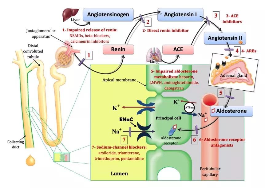 注意了这8类药物会导致高血压,长期使用可使血钾升高的药物