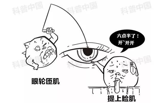 眼皮跳是左眼跳财还是右眼跳灾,左眼跳财右眼跳灾眼皮总跳是啥病