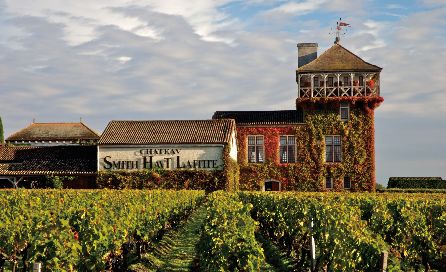 法国葡萄酒是红酒吗,葡萄酒中国和法国的对比