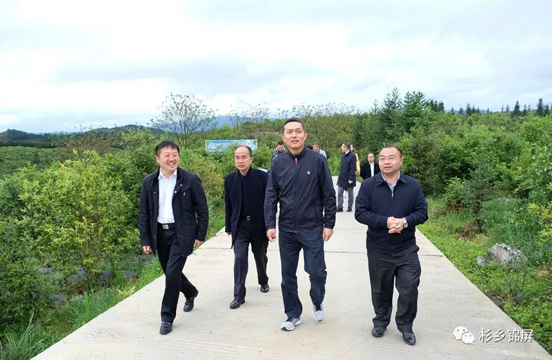 杭州对口帮扶黔东南企业,杭州金融帮扶