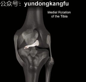 膝内侧副韧带损伤吃什么药,膝韧带损伤预防与康复训练