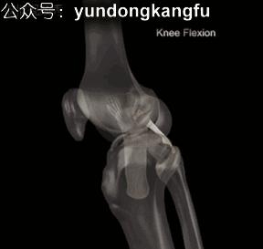 膝内侧副韧带损伤吃什么药,膝韧带损伤预防与康复训练