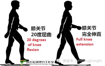 膝内侧副韧带损伤吃什么药,膝韧带损伤预防与康复训练