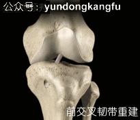 膝内侧副韧带损伤吃什么药,膝韧带损伤预防与康复训练