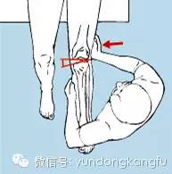 膝内侧副韧带损伤吃什么药,膝韧带损伤预防与康复训练