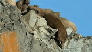 bbc经典必看十大纪录片,bbc十大经典纪录片9.9