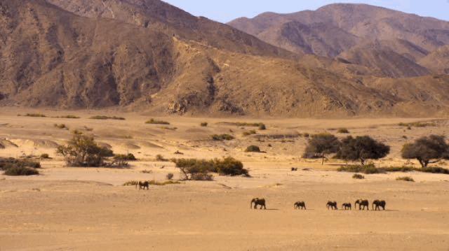 bbc经典必看十大纪录片,bbc十大经典纪录片9.9