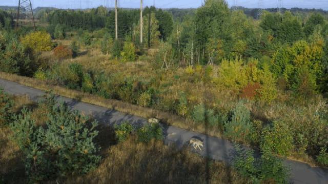 bbc经典必看十大纪录片,bbc十大经典纪录片9.9