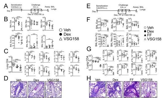 新技术能治恶性哮喘，比当前临床药效高10倍丨哈工大研发团队这项发现厉害啦