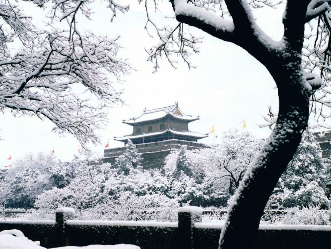 西安做房地产有前途吗,没事别去创业的句子