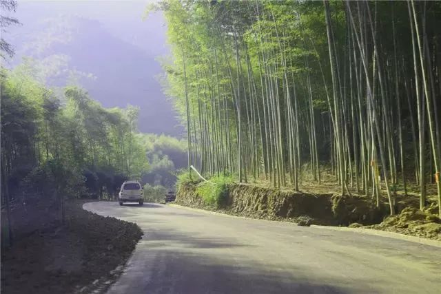 萧山网红打卡地我在这里等你,萧山附近网红打卡地