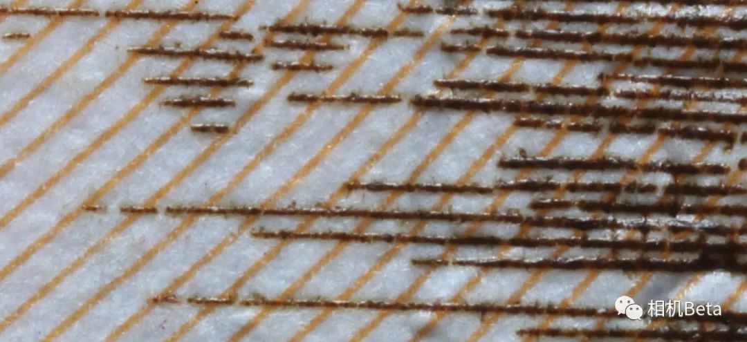 老蛙10mmf2.8多少钱,老蛙100mmf2.82倍微距