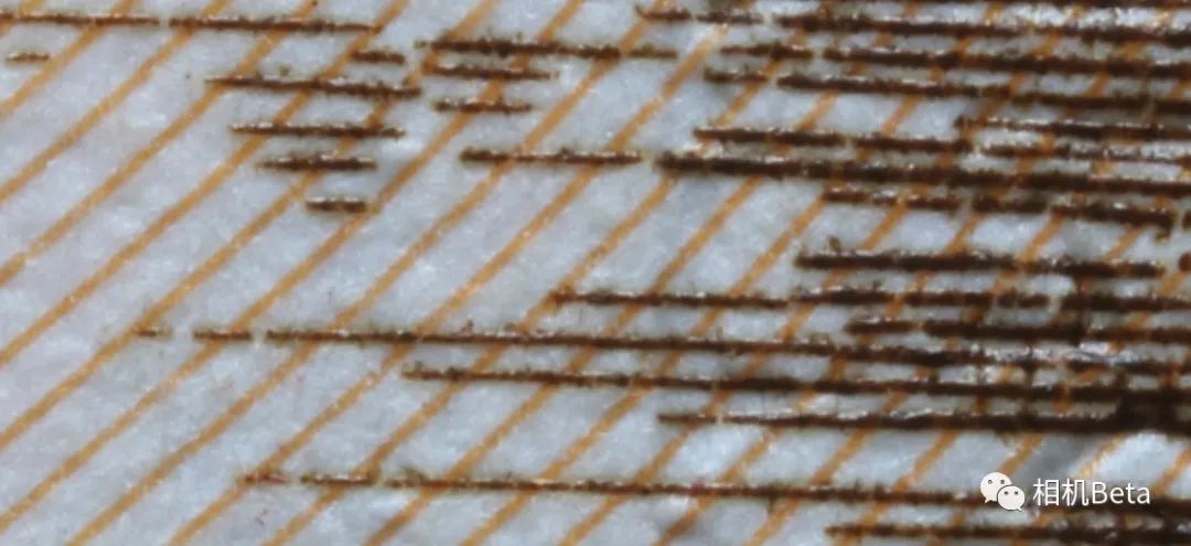 老蛙10mmf2.8多少钱,老蛙100mmf2.82倍微距