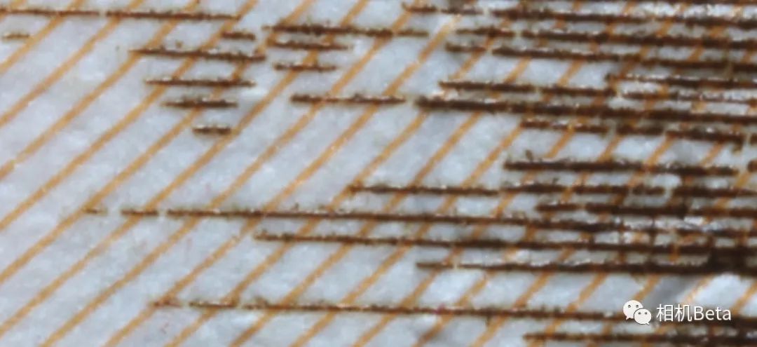 老蛙10mmf2.8多少钱,老蛙100mmf2.82倍微距