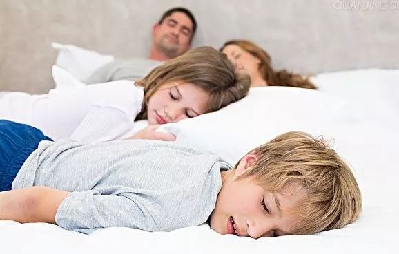 薄荷驱蚊被子怎么用,薄荷防蚊虫被子