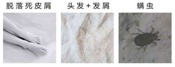 薄荷驱蚊被子怎么用,薄荷防蚊虫被子