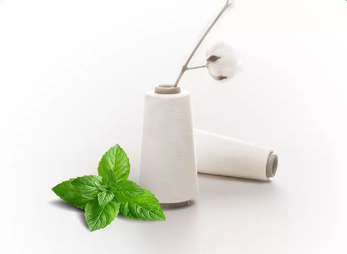 薄荷驱蚊被子怎么用,薄荷防蚊虫被子