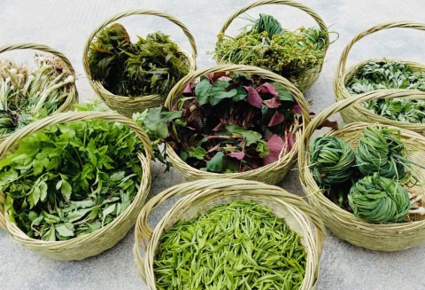 号外号外活动来袭,号外号外活动