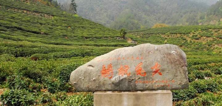 号外号外活动来袭,号外号外活动