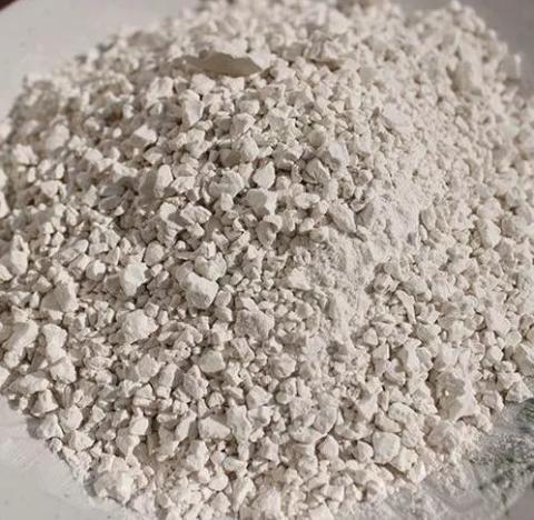 号外号外活动来袭,号外号外活动