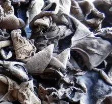 号外号外活动来袭,号外号外活动