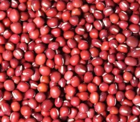 号外号外活动来袭,号外号外活动