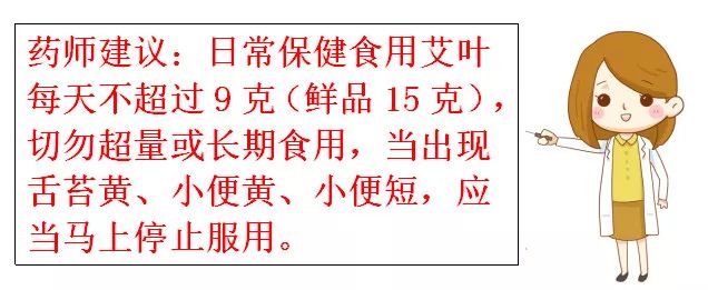 艾叶有毒吗能吃不,为什么有人说艾叶有毒
