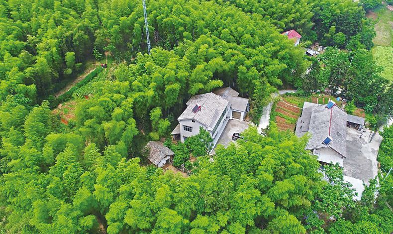 宜昌新建扩建学校名单,宜昌西坝中小学规划最新动态