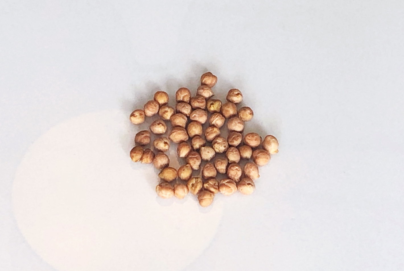 性价比超好用的吸尘器测评,平价吸尘器测评排行榜前十