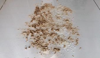 性价比超好用的吸尘器测评,平价吸尘器测评排行榜前十