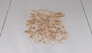 性价比超好用的吸尘器测评,平价吸尘器测评排行榜前十