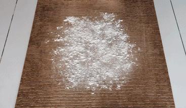 性价比超好用的吸尘器测评,平价吸尘器测评排行榜前十