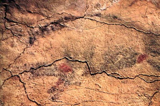 野猪的“世界史”，也是一部《权力的游戏》