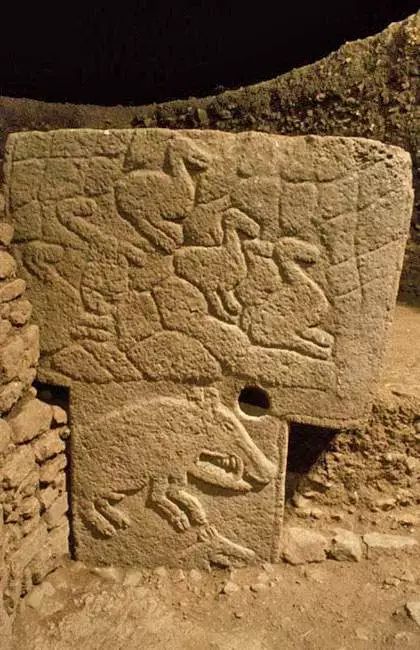 野猪的“世界史”，也是一部《权力的游戏》