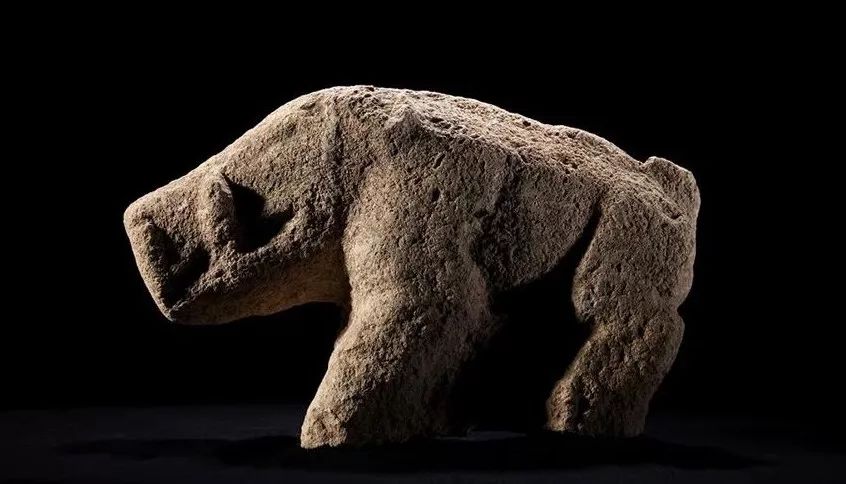 野猪的“世界史”，也是一部《权力的游戏》