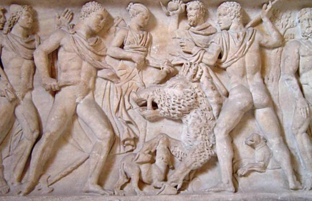 野猪的“世界史”，也是一部《权力的游戏》